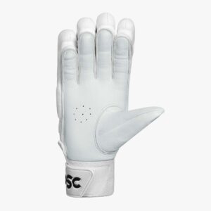 DW 31 batting gloves 1