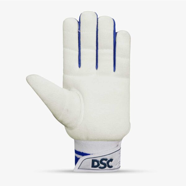 dsc wicketkeeping inner glove player le 2
