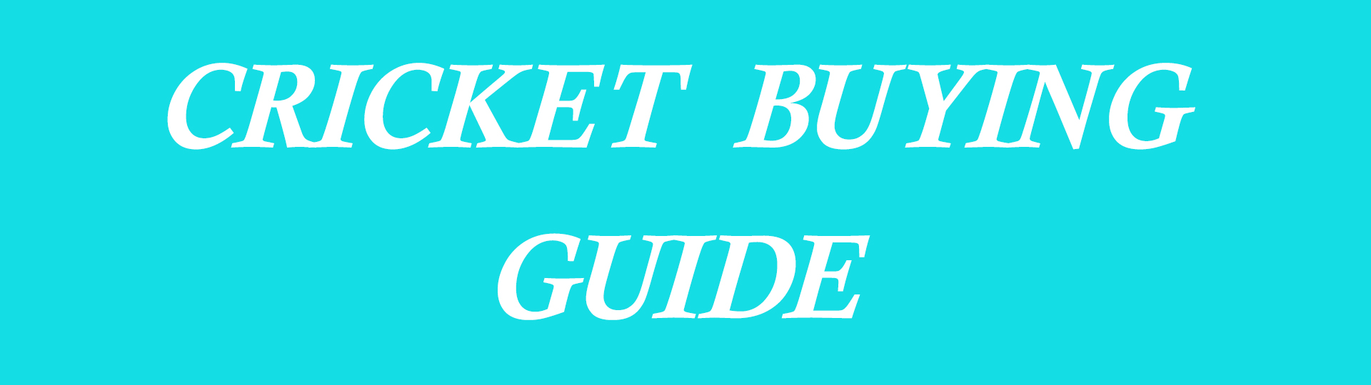 CRICKET BUYING GUIDE
