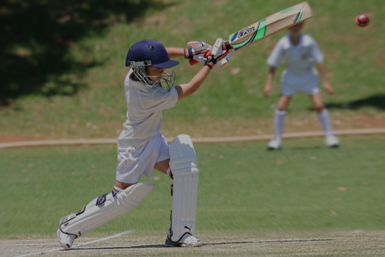 junior cricket bats ramcosports.com