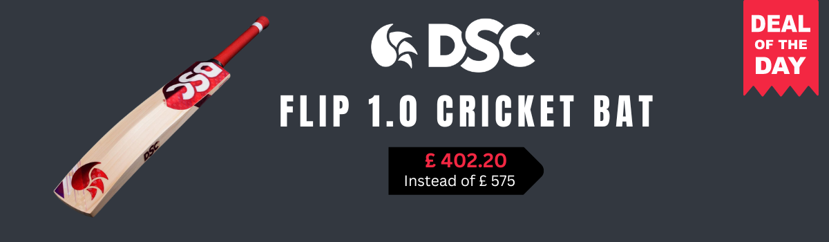 DSC FLIP 1.0 CRICKET BAT